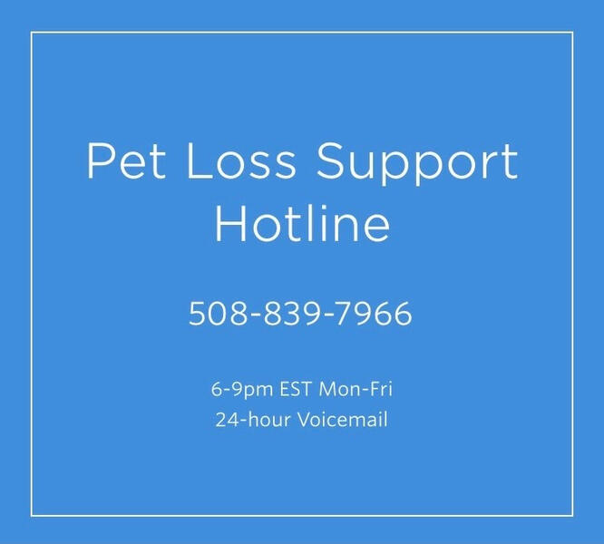 Pet Loss Support Line